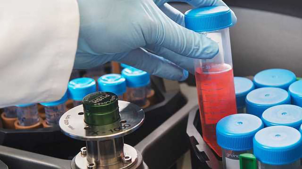 Immatics Enters into a Strategic Partnership with Genmab