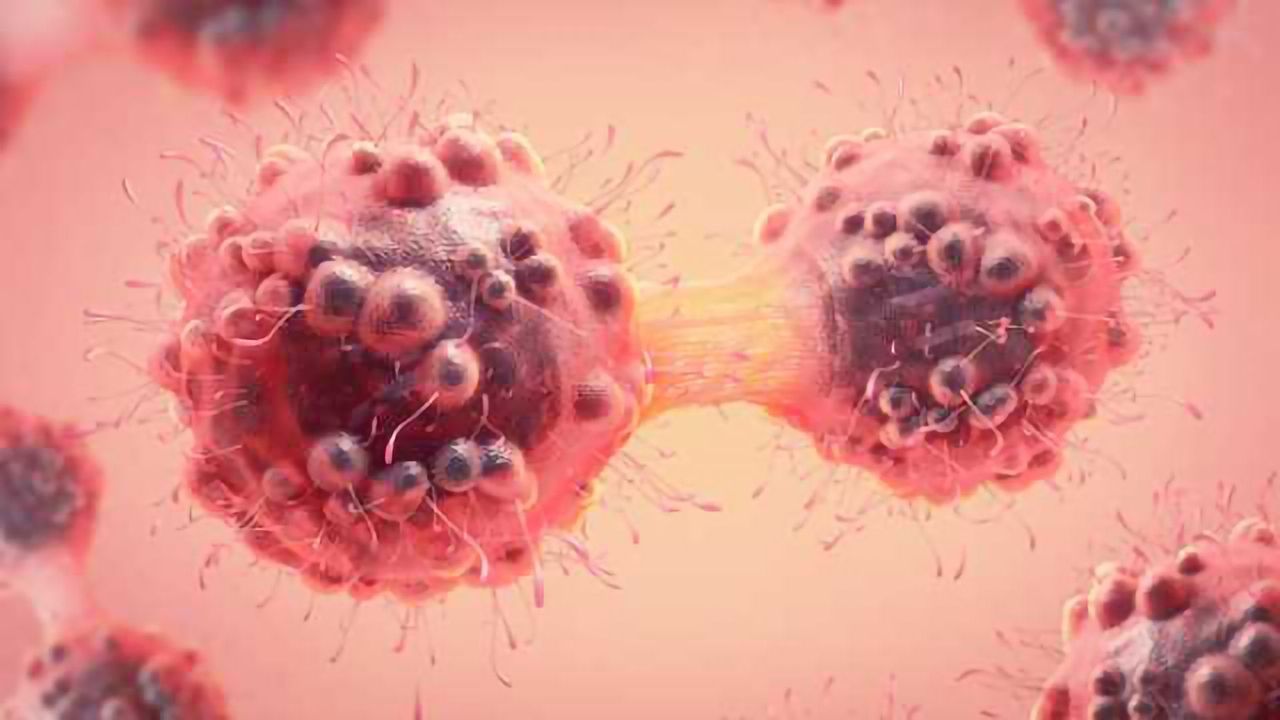 Solving Protein Puzzle Helps to Design New Cancer Drugs
