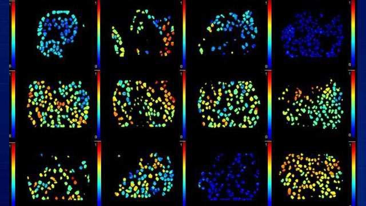 How Well Do Cancer Drugs Hit Their Targets? Here’s How to Find Out