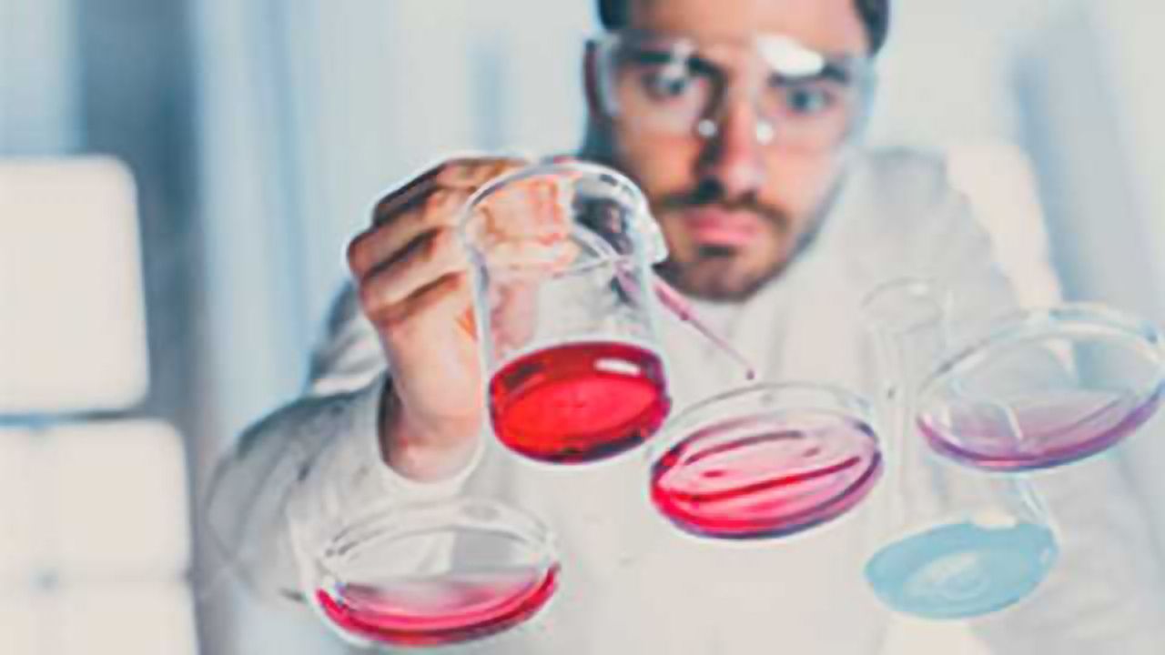 Pfizer to Organize for Future Growth