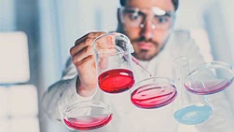 Pfizer to Organize for Future Growth