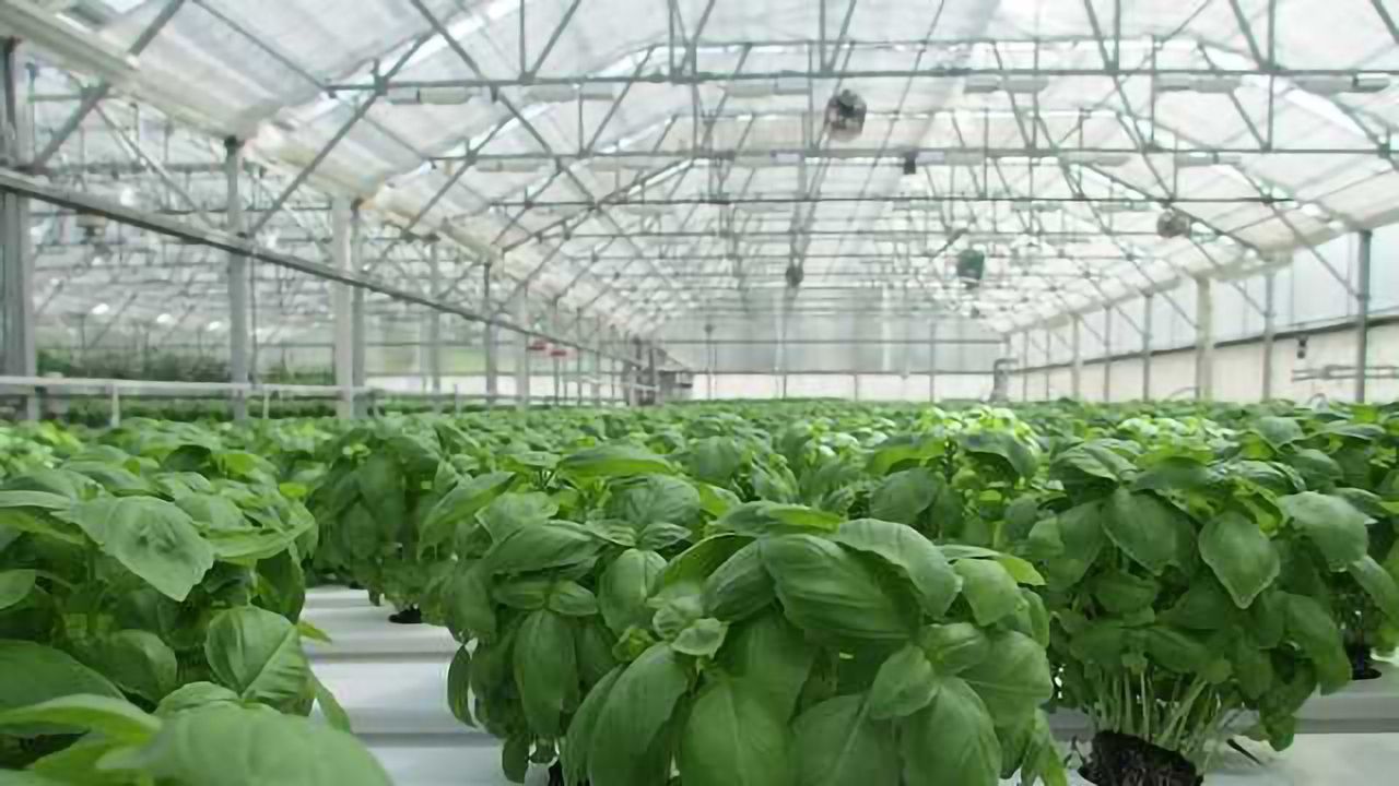 Smart Solutions to Limit Greenhouse Gases