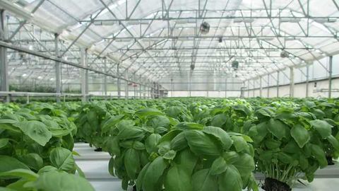 Smart Solutions to Limit Greenhouse Gases
