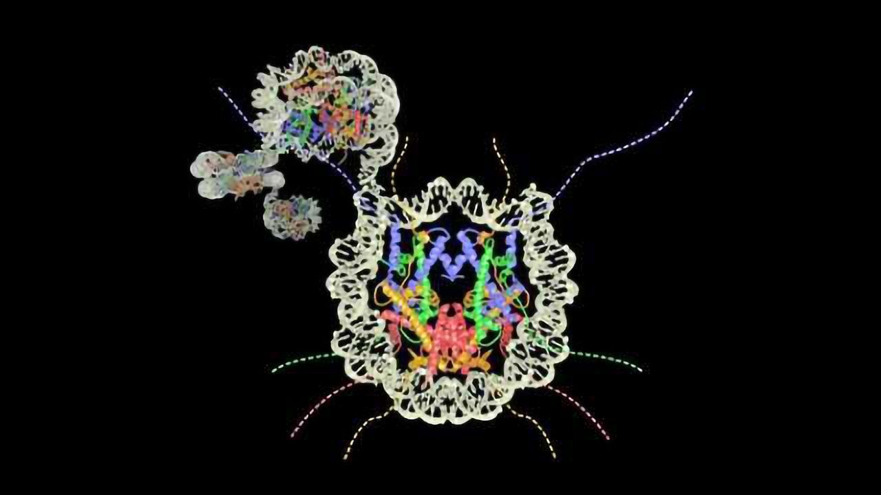 Finding the Proteins That Unpack DNA