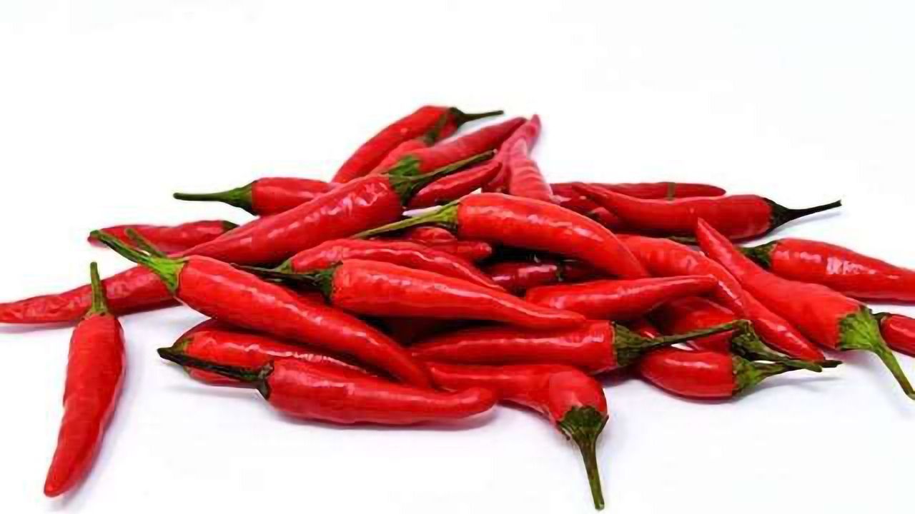 Chili Pepper Derived Anti-Obesity Drug Shows Promise in Animal Trials