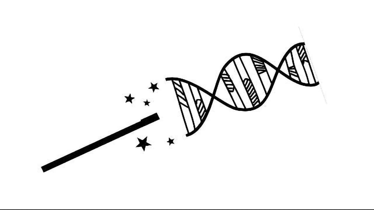 ExPecto Patronum! Magical Machine Learning Tool Summons DNA Dark Matter Data