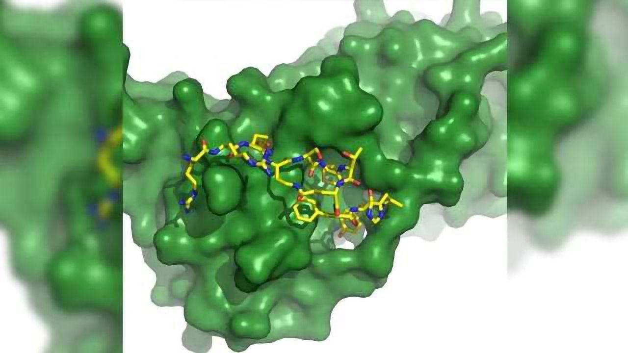Tackling Cancer at Ground Zero: Designer Molecule Inhibits Protein Target