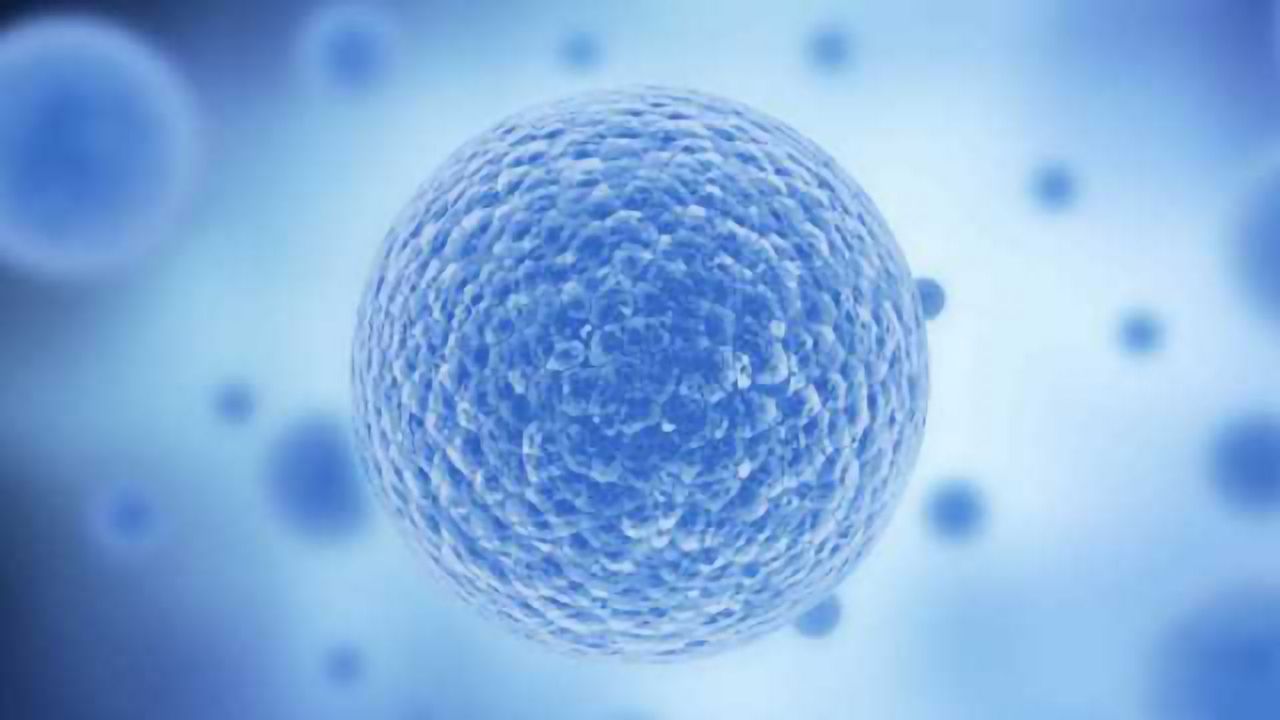 Human Cell-Expressed Cytokines and Growth Factors