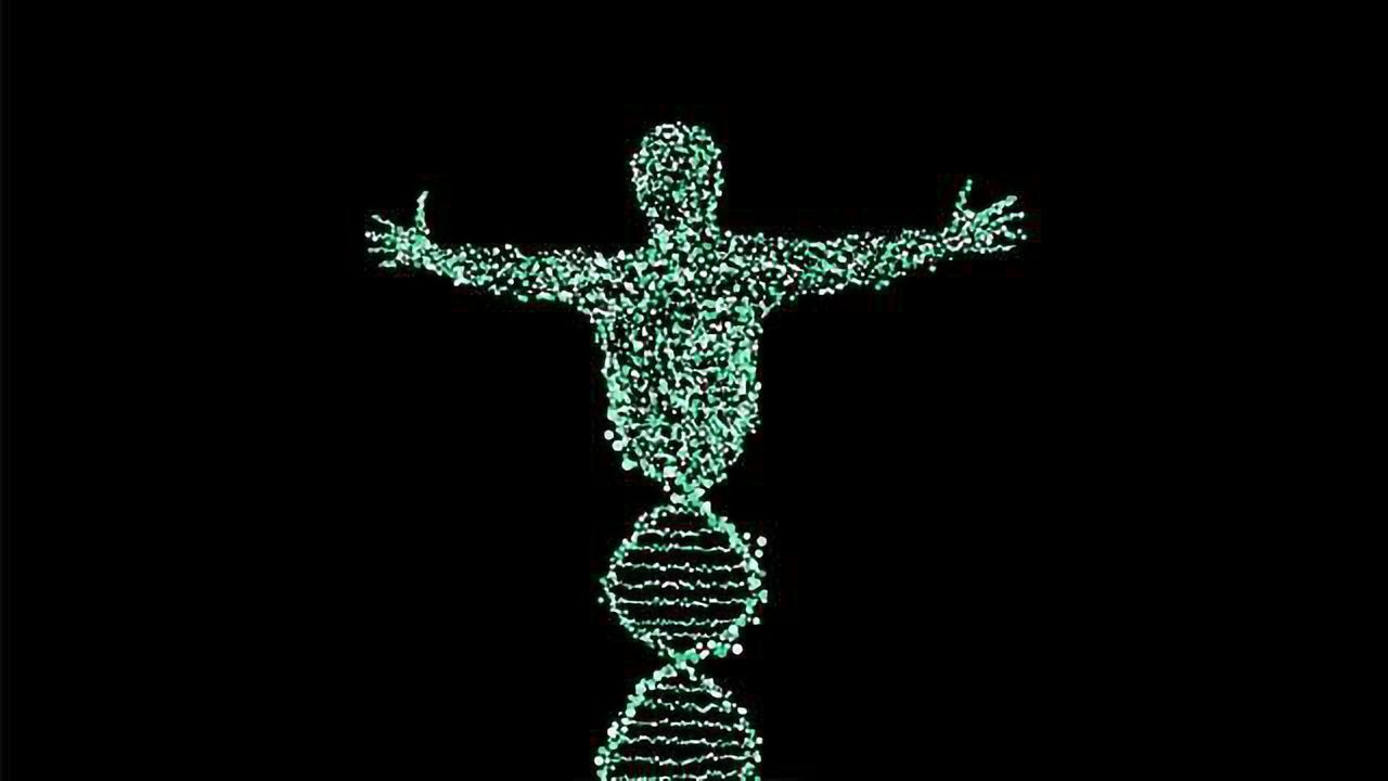 Genetic Factors Leading to Rare Bone Fusion Disorder Identified