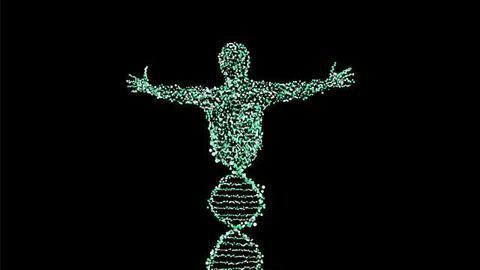 Genetic Factors Leading to Rare Bone Fusion Disorder Identified