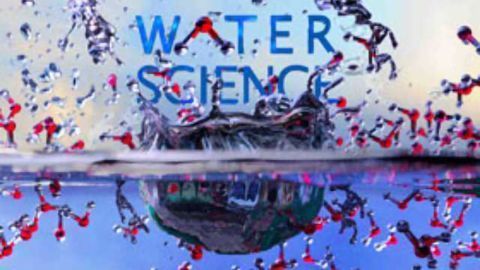 Interface with Water Key to Pollutant Removal
