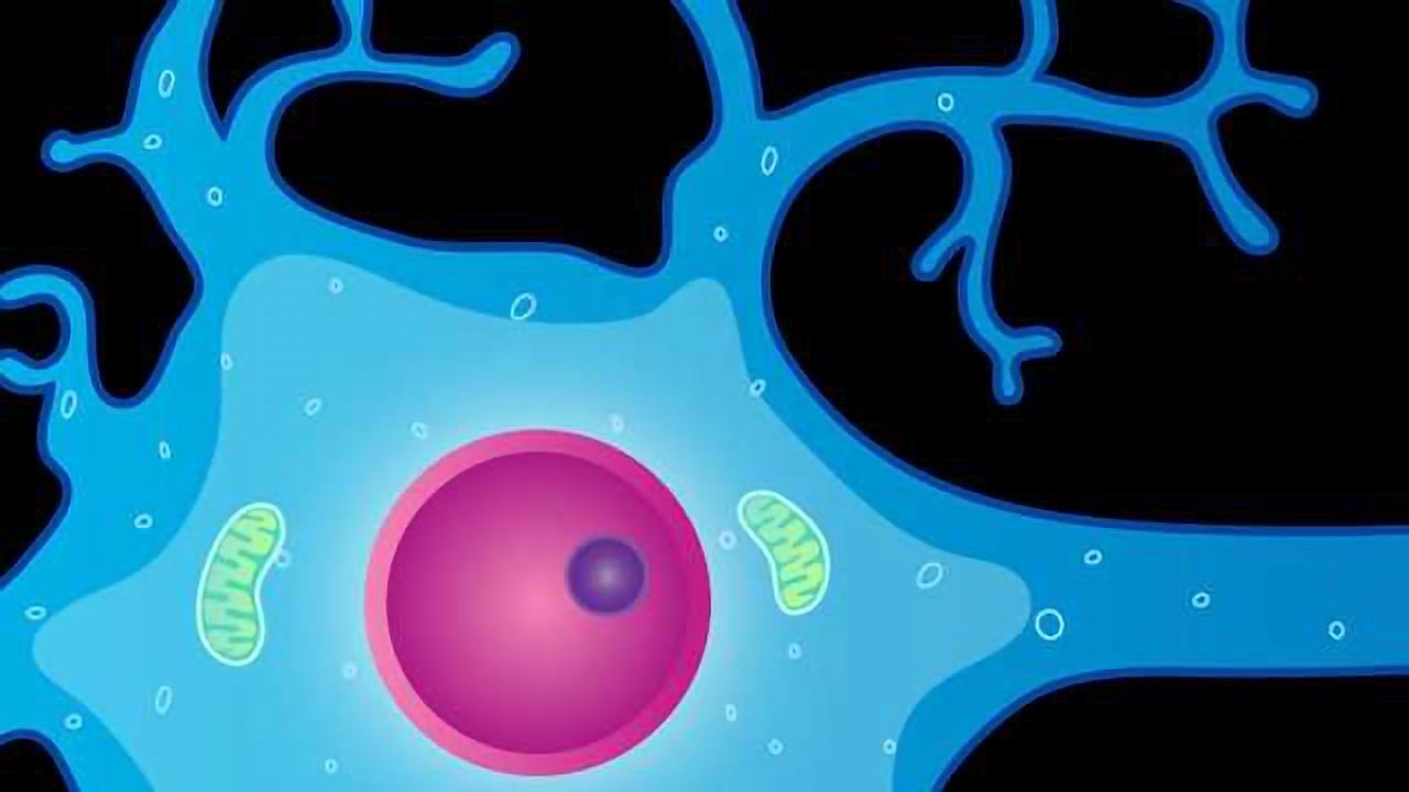 NeuroTrauma Sciences and Henry Ford Health System Announce Agreements for Neurological Injury Research