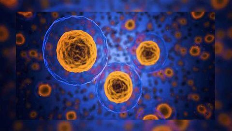 Synthetic Material That Detects Enzymatic Activity
