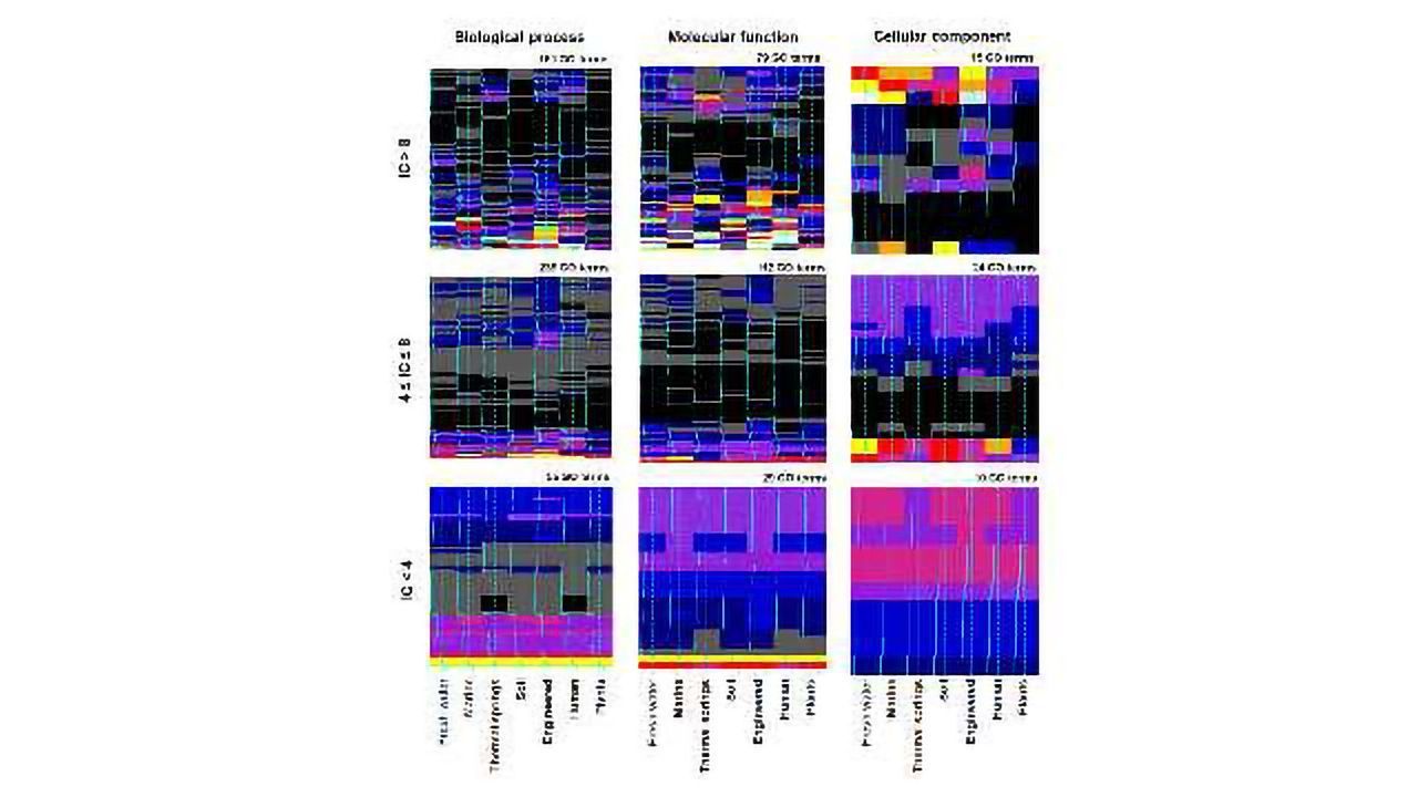 Big Data Study Targets Genomic Dark Matter from Ocean Floor to Gut Flora