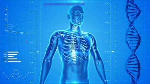 Analysis of “Atacama Mummy” Called into Question