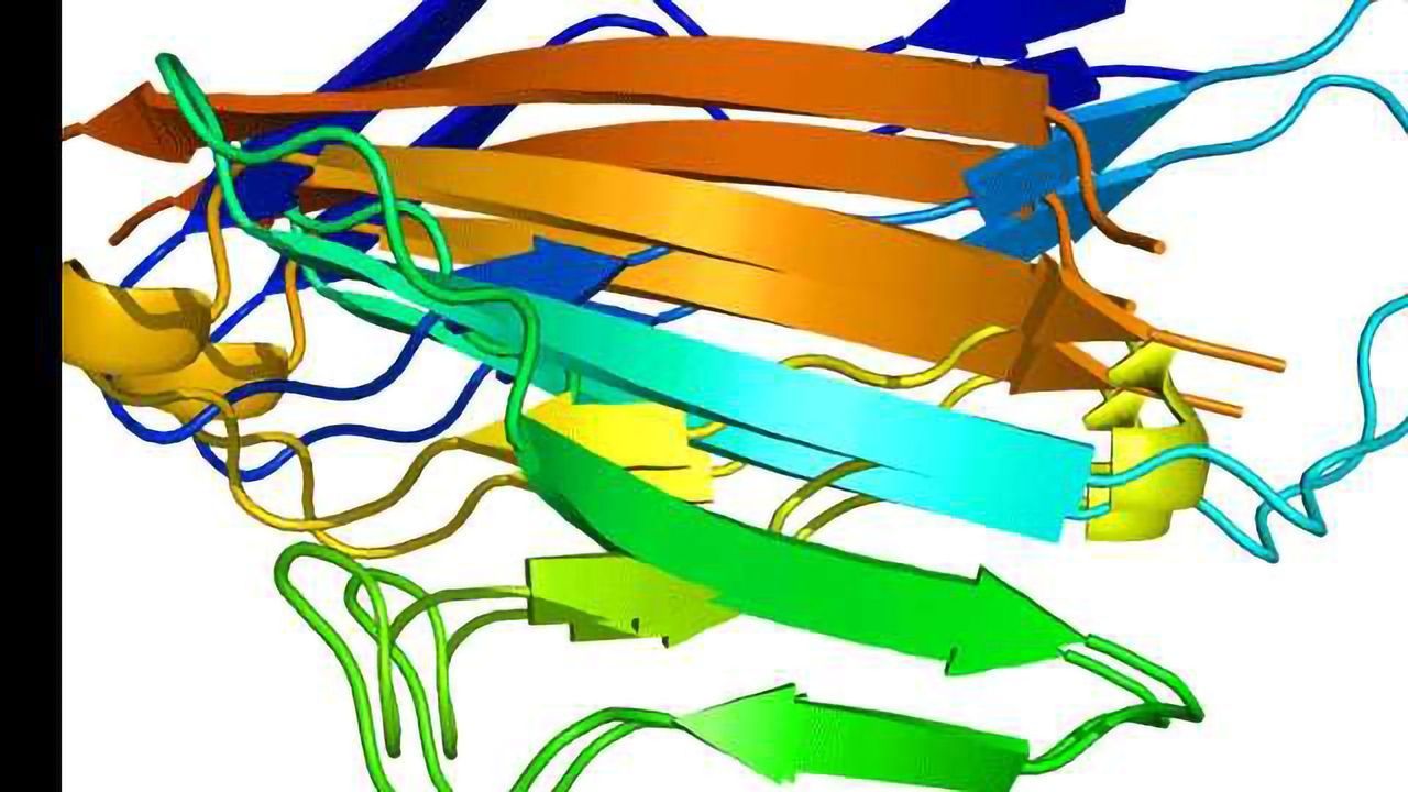 The “Traffic Cop” Protein Which Gives Progenitor Cells Permission to Differentiate
