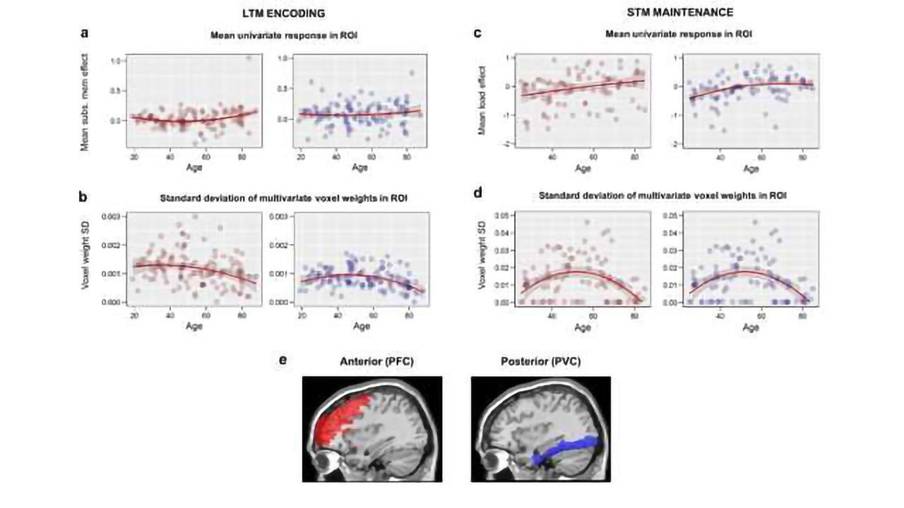Increased Frontal Brain Activity with Age Indicates Reduced Brain Efficiency