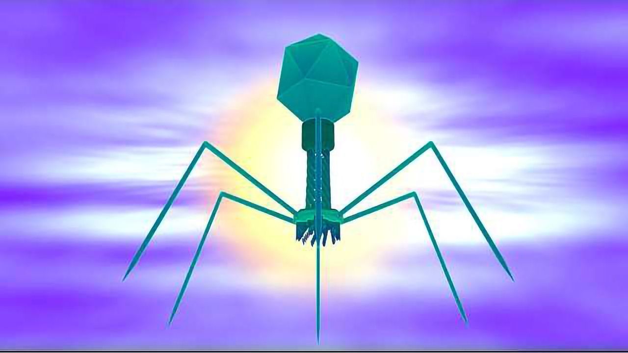 Working Together Helps Phage Overcome CRISPR