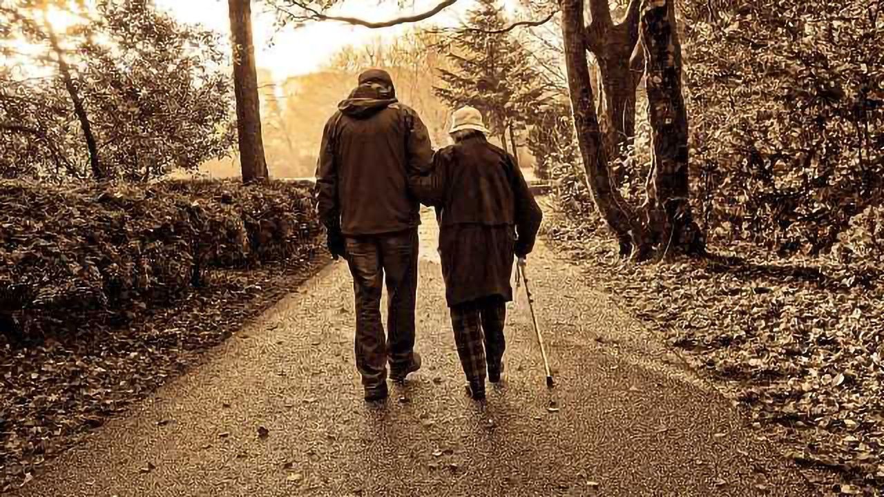 Researchers are One Step Closer to Developing Eye Drops to Treat Age-Related Macular Degeneration