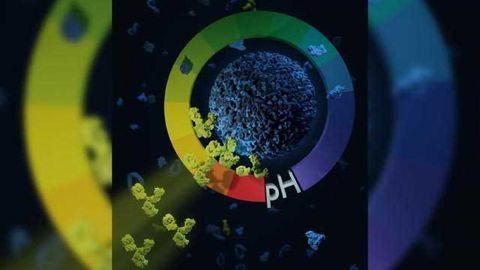 Targeting Headaches and Tumors with Nano-Submarines