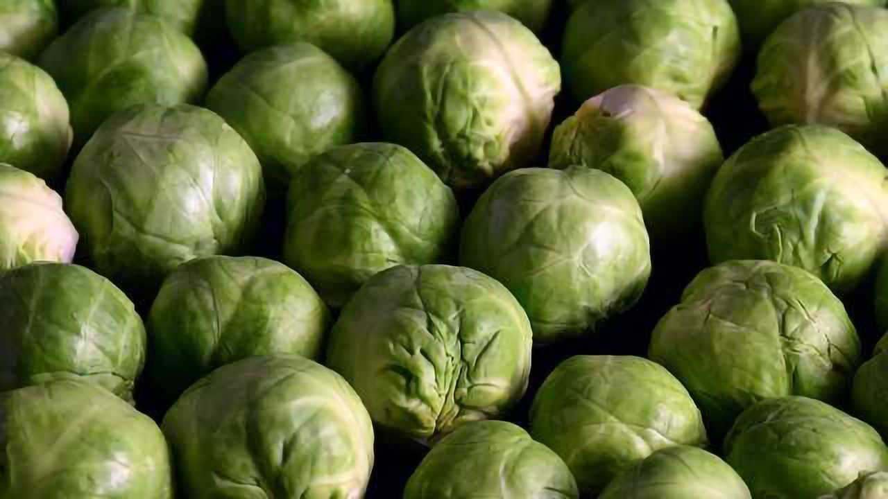 Why Might Super-Tasters be at Higher Cancer Risk?