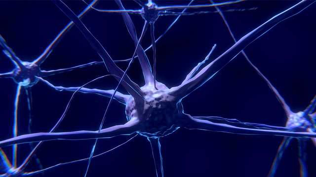 T Cells Attack and Kill Dopamine-Producing Cells in Parkinson's disease