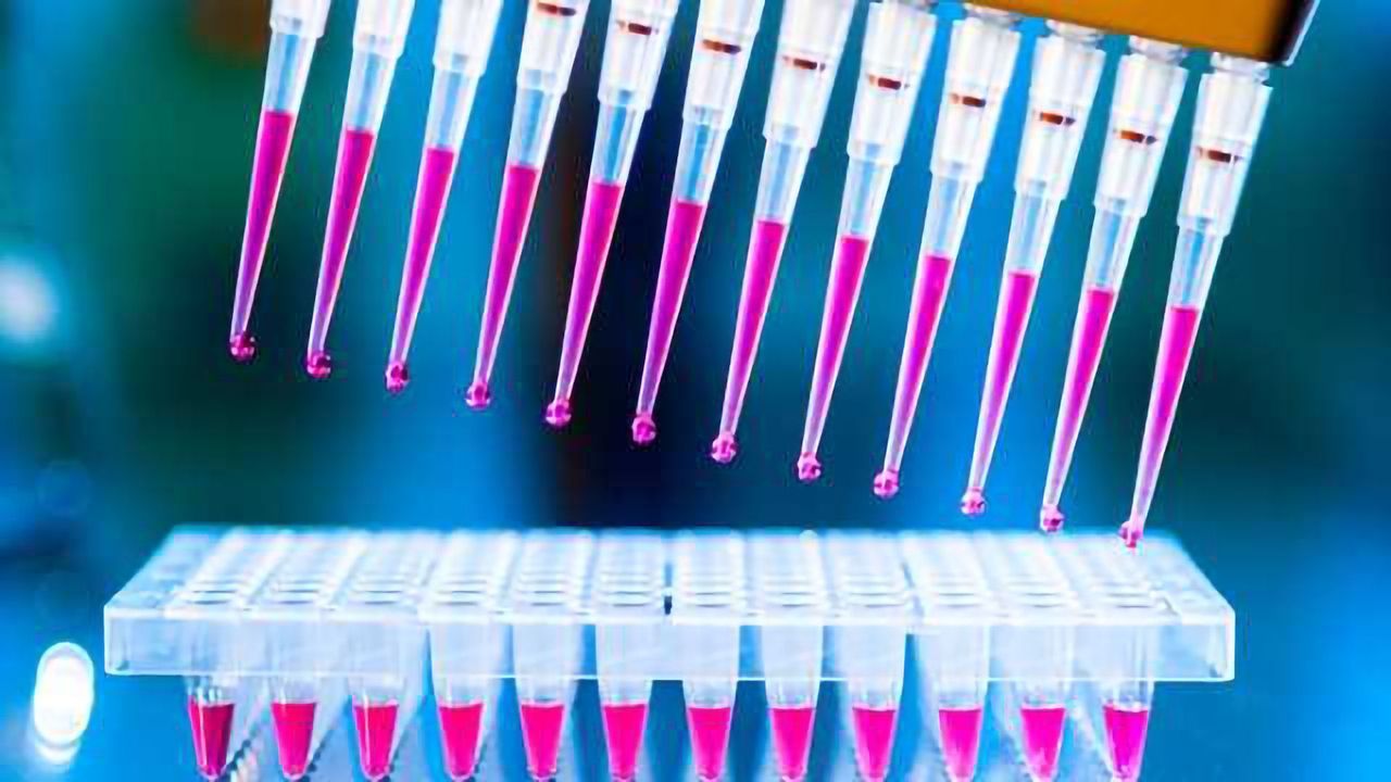 3 Recent Developments in Toxicity Testing