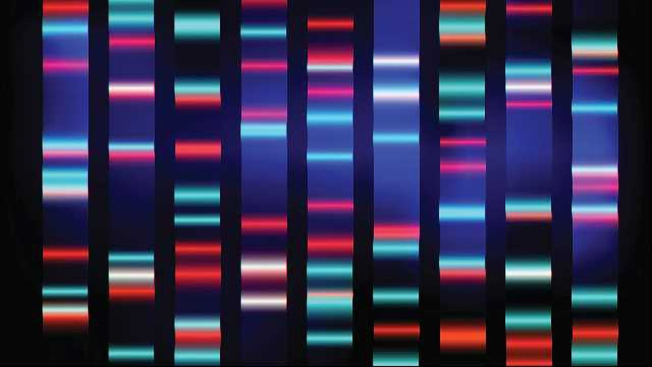 Analytical Tool Predicts Disease-Causing Genes