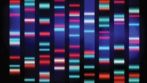 Analytical Tool Predicts Disease-Causing Genes