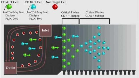 Enabling Technology in Cell-Based Therapies: Scale-Up, Scale-Out or Program In-Place