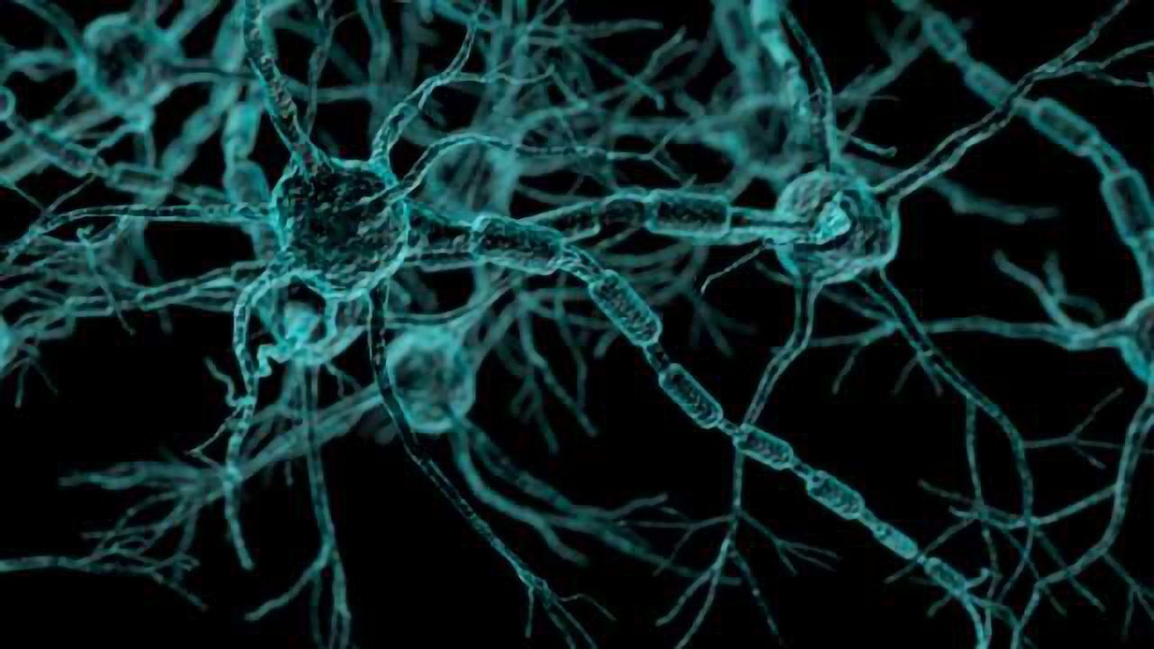 Molecular Key for Delaying Multiple Sclerosis Progression