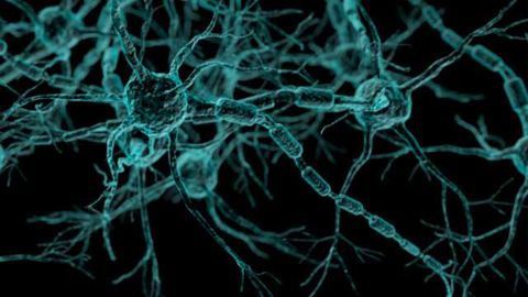 Molecular Key for Delaying Multiple Sclerosis Progression