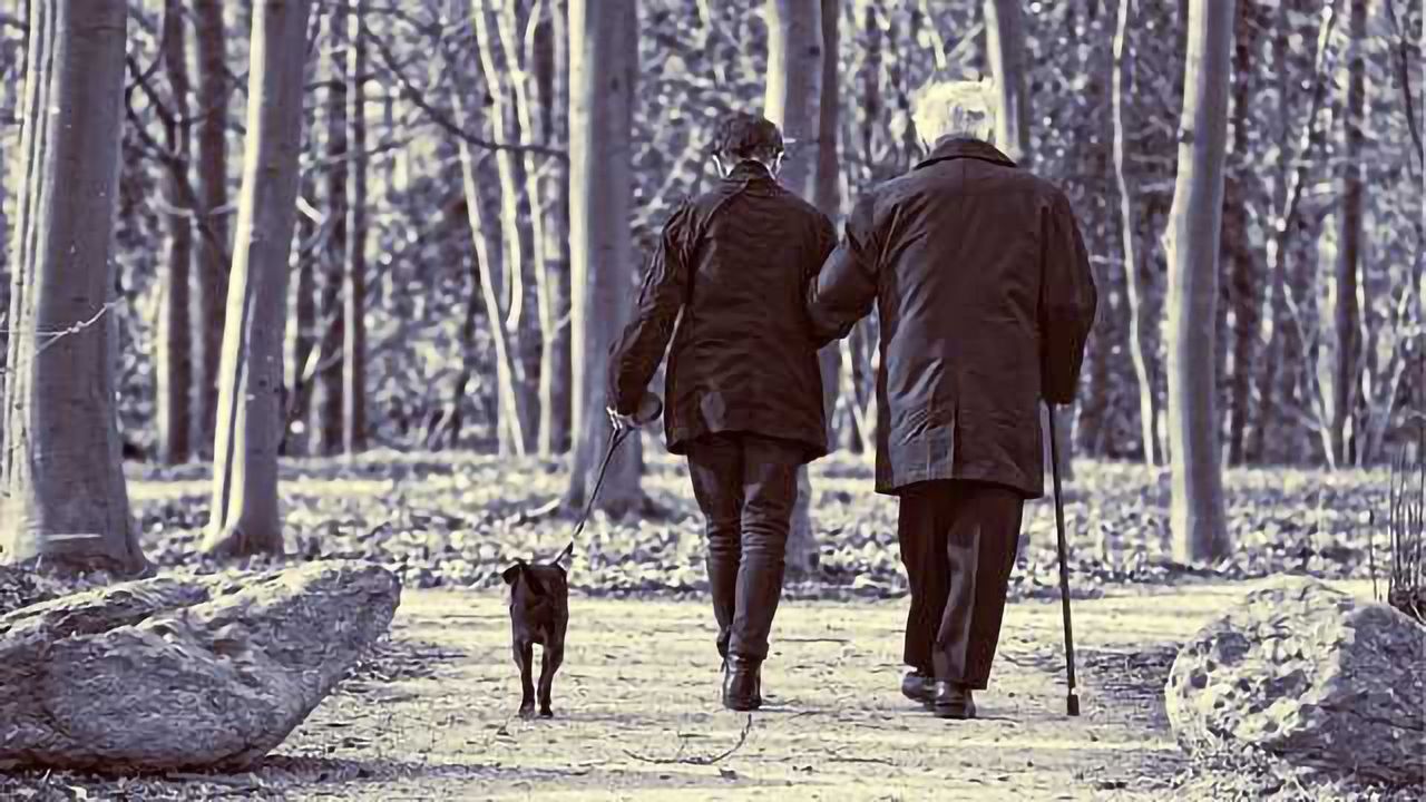 First Practice Guidelines for Clinical Evaluation of Alzheimer's disease