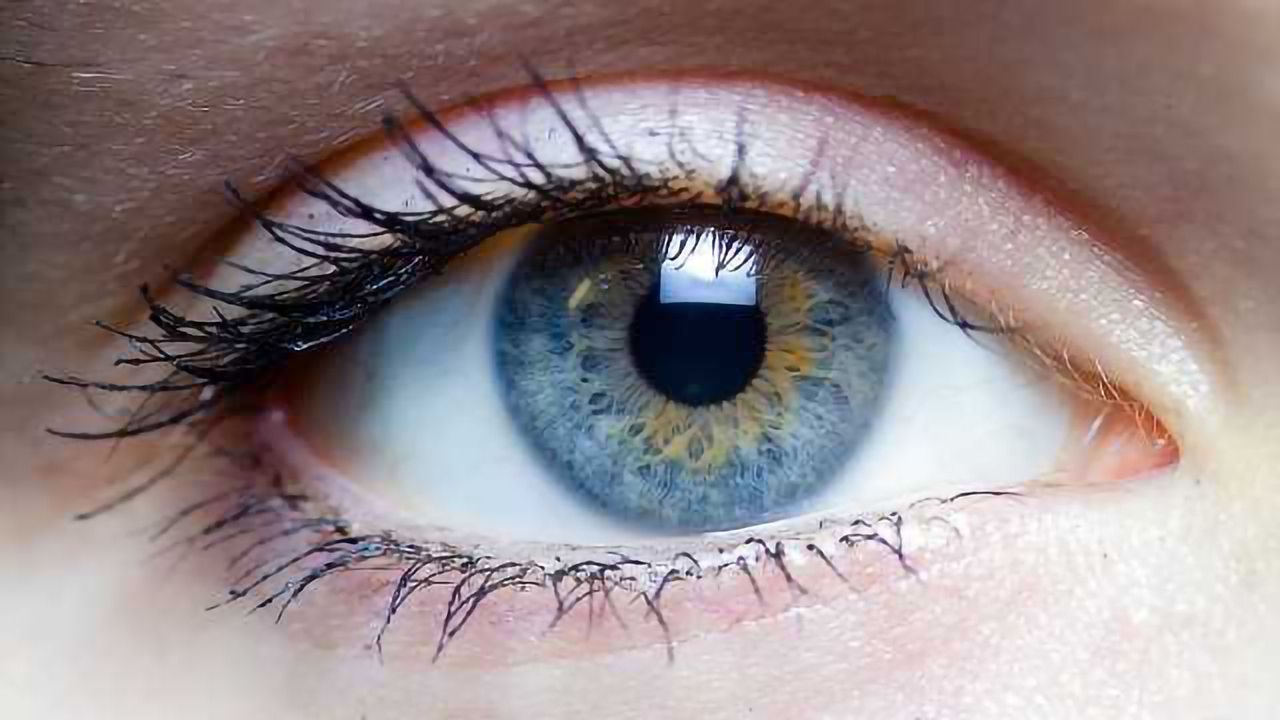 Blindness Gene Identified