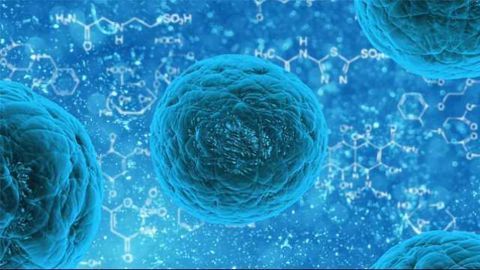 UC San Diego Researchers Receive Funding to Pursue Novel Stem Cell-based Treatments