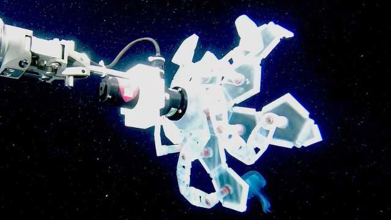 Watch the Wyss Institute's "Poké Ball" RAD Sampler Capture Ocean Life