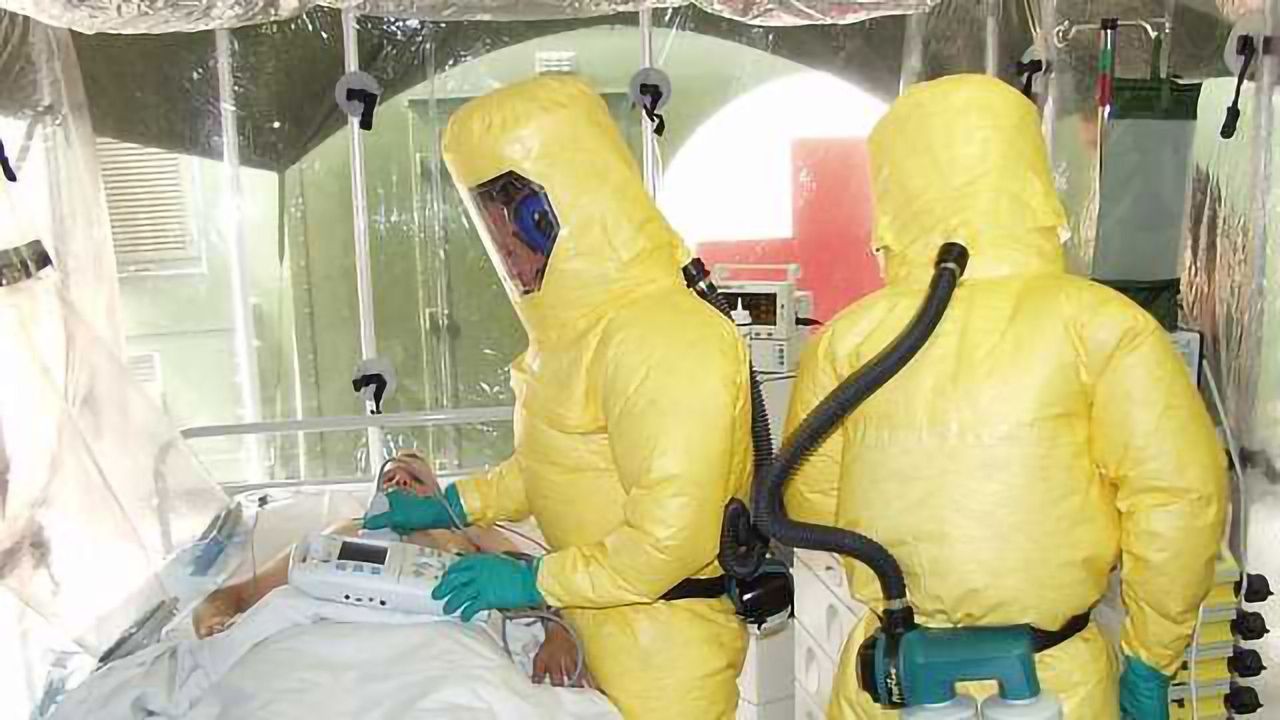 Window into Ebola Survivor T Cell Responses