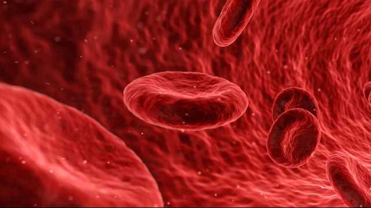 'Hijacked' Cell Stress Response Exposes Promising Drug Targets for Blood Cancer