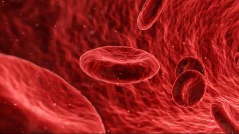 'Hijacked' Cell Stress Response Exposes Promising Drug Targets for Blood Cancer