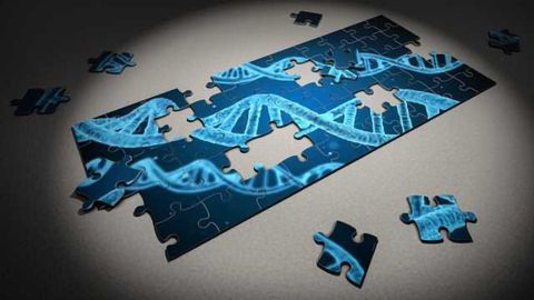 Foundations Laid for Next-Generation Forensic DNA Profiling