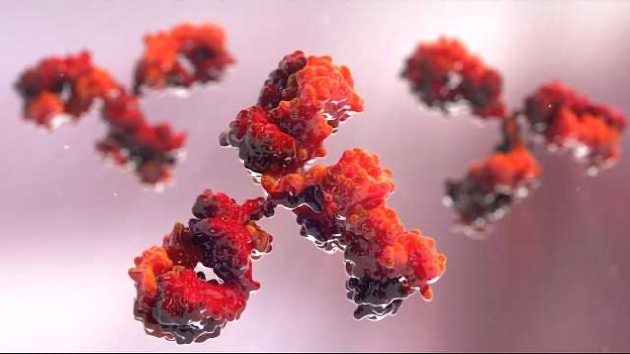 Current Trends in Bispecifics, Dual-action and Combination Therapies