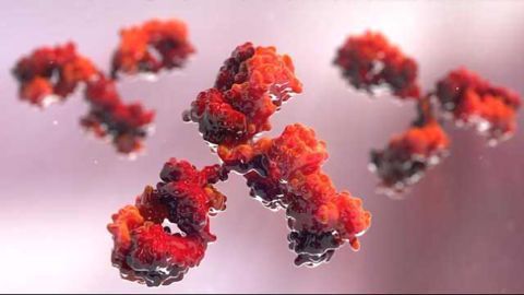 Current Trends in Bispecifics, Dual-action and Combination Therapies