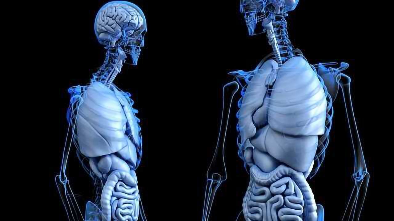 Gut-Liver-Brain Axis in Alzheimer's Explored