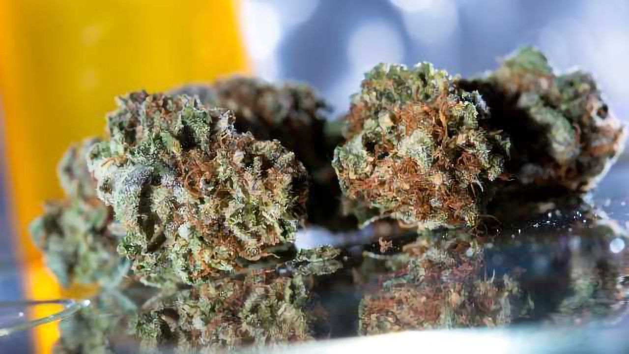 Trends in the Cannabis Testing Industry