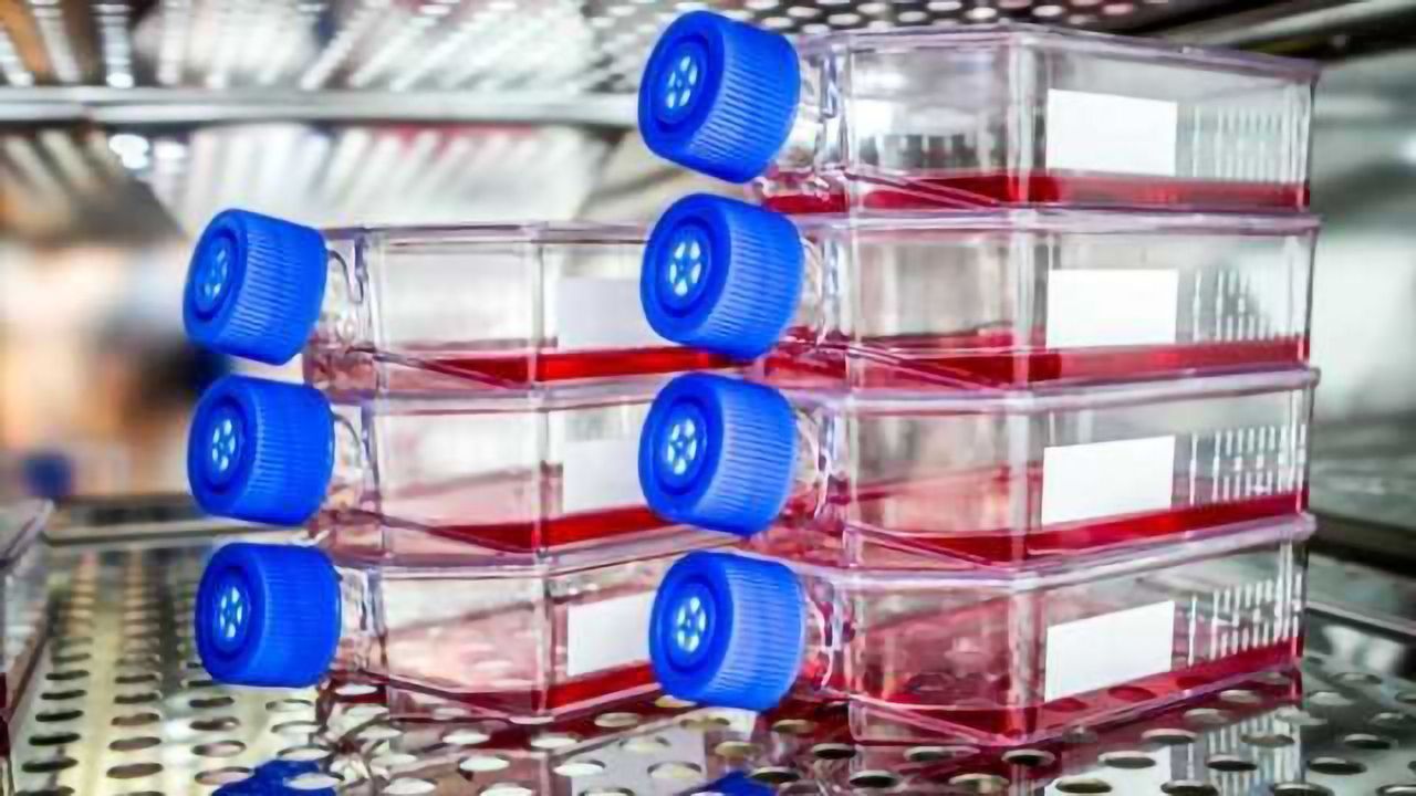 7 Tips for Successful Development of 3D Cell Culture Assays