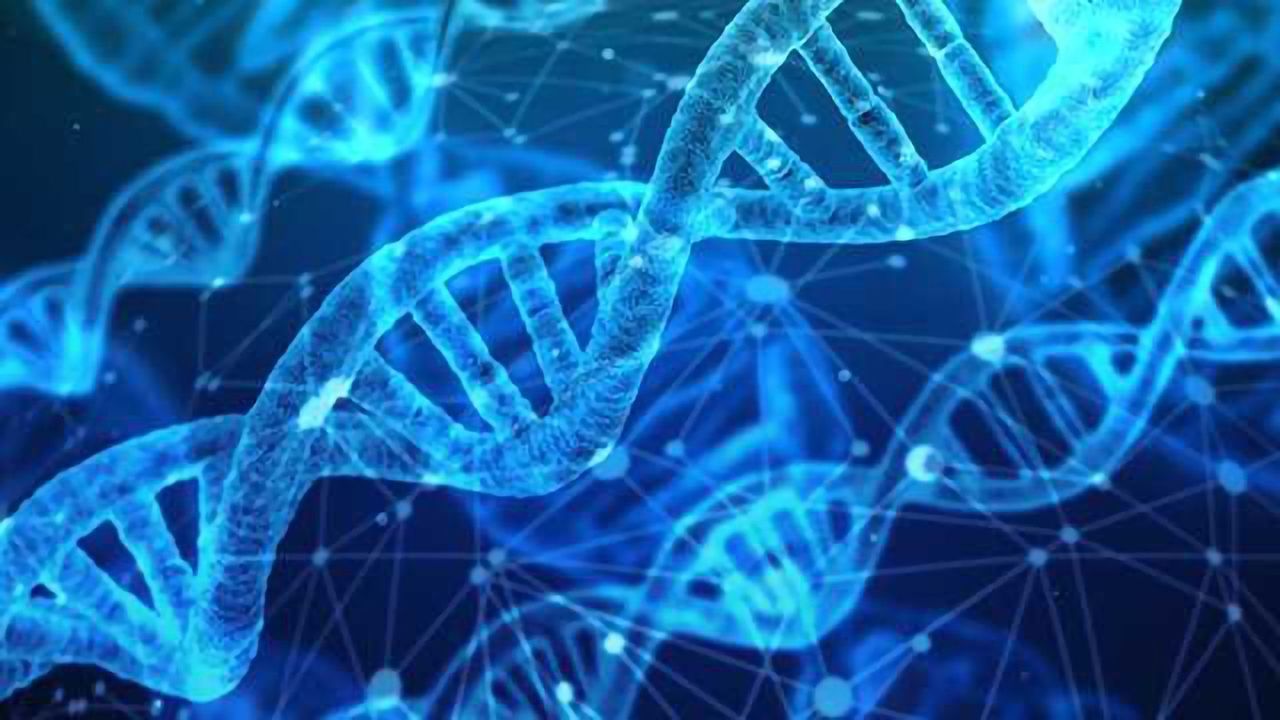 Eight New Mouse Models for Alzheimer's Disease Released to Researchers