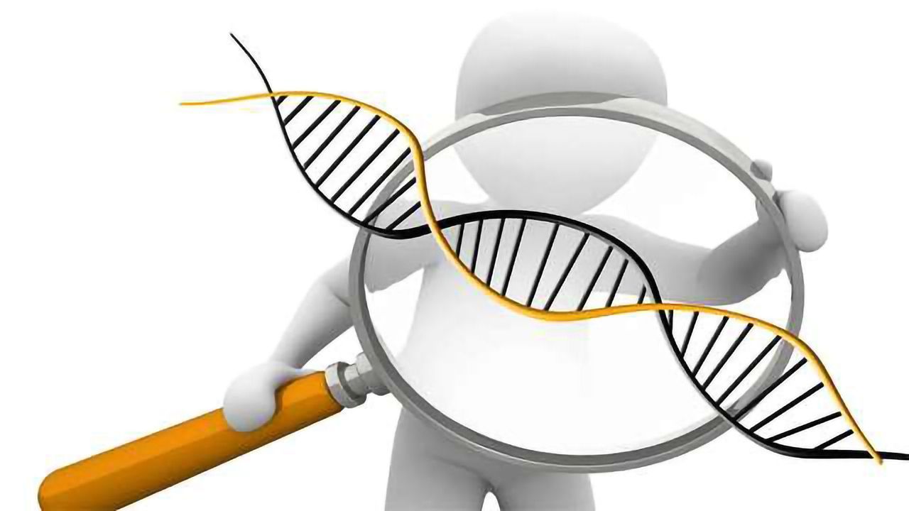 Investigating the "Mutational Burden" of Human Induced Pluripotent Stem Cells