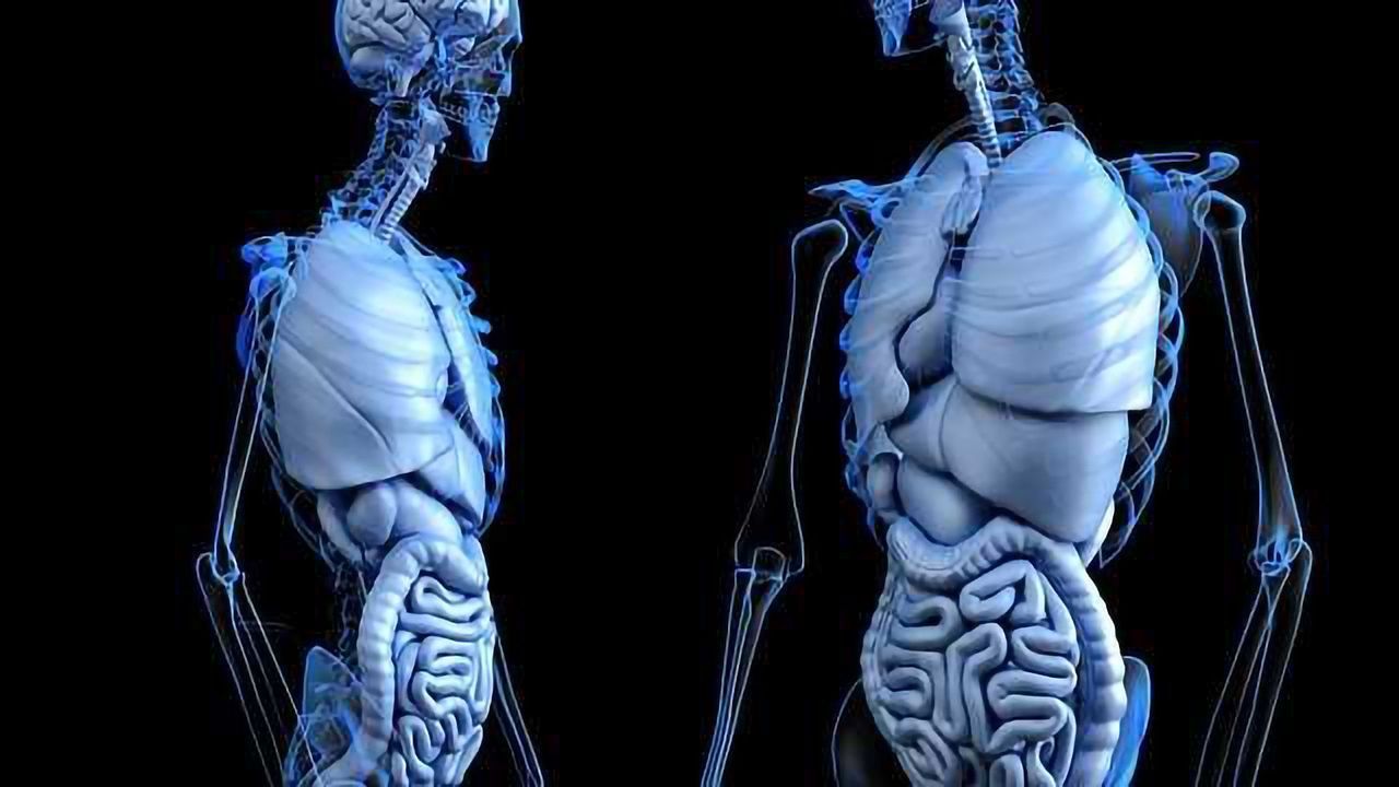 Gut Bacteria Gene Expression Altered by Host Antibodies