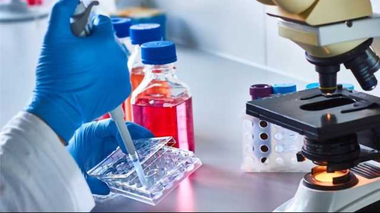 Enzyme Discovery Could Improve Drugs Against Cancer, Diabetes & Obesity