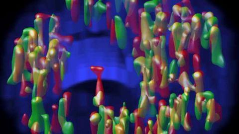 Enzyme AEP’s Importance to Immunity Discovered